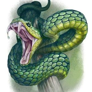 Meet your Posher, Tony